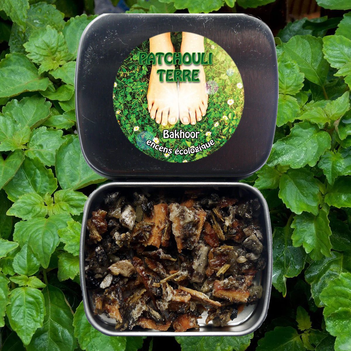 PATCHOULI TERRE BAKHOOR