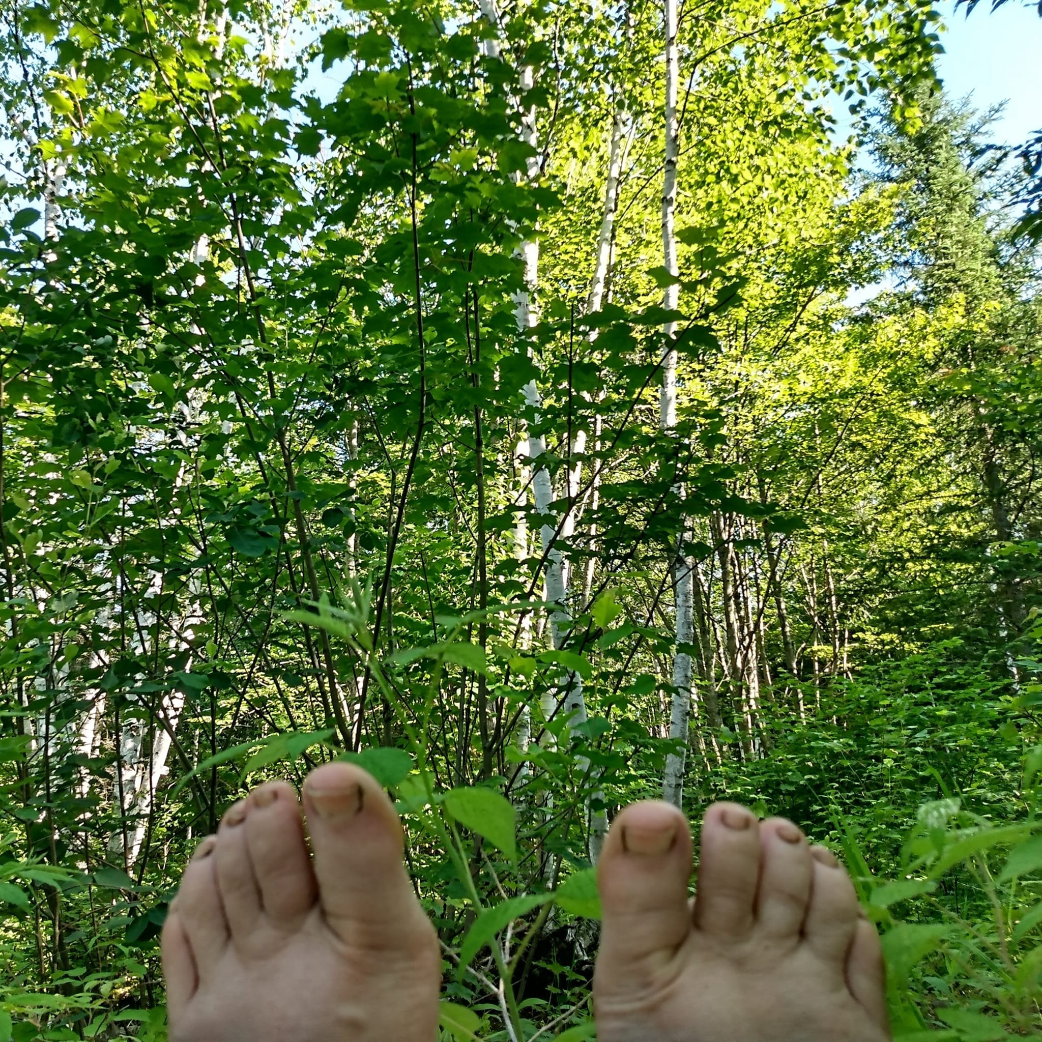 Re-connection with Nature Through the Senses and Incense Workshop - Image 5